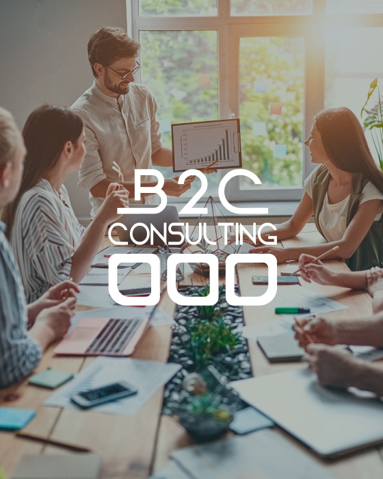 B2C consulting